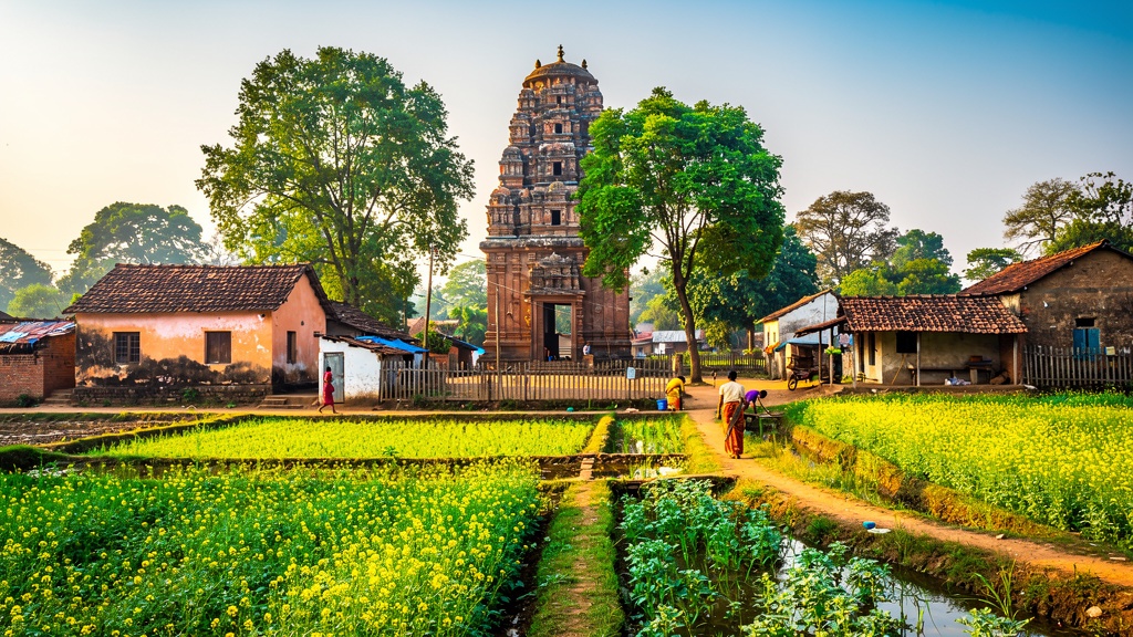 Rural village landscape near Khiching with mustard fields and temple